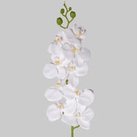 اوركيد ملمس طبيعي