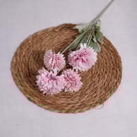 غصن الهندباء وردي فاتح