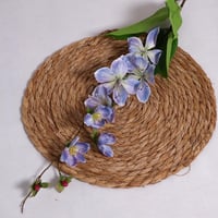 اليستروميريا ازرق