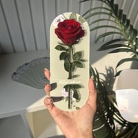 حامل الورد "عيدكم مبارك" ( 12حبة)