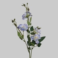 غصن زهور ازرق