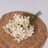 بنش ميني زهور سكري