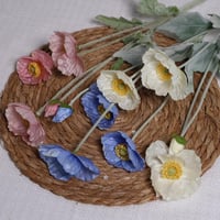 غصن ورد خشخاش ابيض