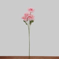 غصن الفاوانيا وردي