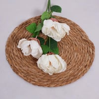 غصن الفاوانيا ابيض