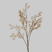 غصن تنسيق بيج