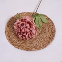 غصن بيوني كبير روز