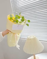 ورق تغليف ثقيل فاخر وردي خربزي (15 حبة)