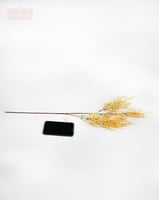 غصن لافندر موف