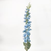 غصن الدلفينيوم سماوي