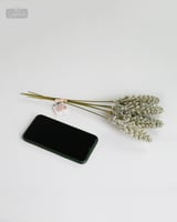 ورد اللافندر وردي