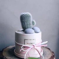 رول ربل بيج (50متر)