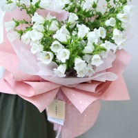 ورق تغليف منقط وردي (20 حبة)