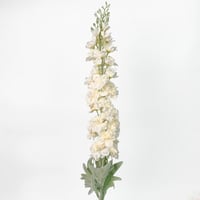 غصن الدلفينيوم سكري