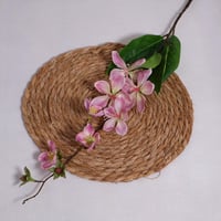 اليستروميريا موف فاتح