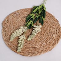 غصن لافندر ابيض