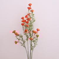 ورد بزهور صغيره برتقالي