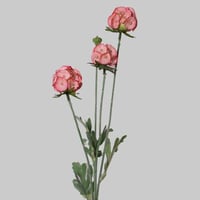 غصن زهور دائرية وردي فاتح