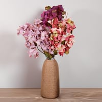 غصن ازاليا ازرق