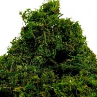 عشب مجفف كيس صغير 200g