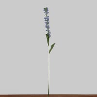 غصن لاركسبور وردي