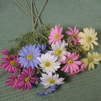 غصن ديزي وردي