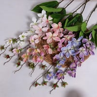 اليستروميريا موف فاتح