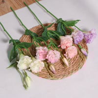 زهرة ليزيانثوس ابيض