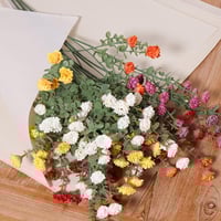 ورد بزهور صغيره ابيض