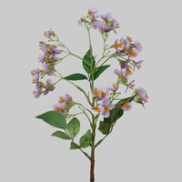 غصن زهور موف