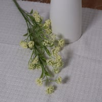 غصن اكسسوار سكري