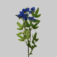 غصن زهور ازرق