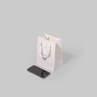 أكياس كرافت صغير ابيض (12 كيس)