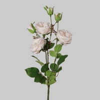 غصن بيوني وردي فاتح