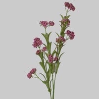 غصن اكسسوار موف