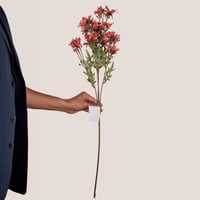 غصن ديزي اصفر