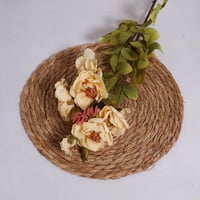 غصن زهور سكري