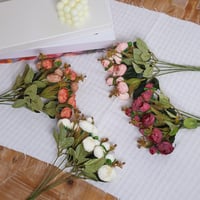 ورد بيوني ميني برتقالي