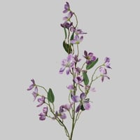 غصن كبير بزهور موف