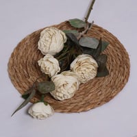 غصن بيوني سكري