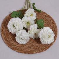 غصن الفاوانيا ابيض