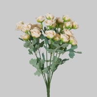 ورد بيبي روز سكري