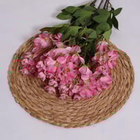 زهور الكرز وردي بموف