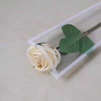 بلاستيك تغليف للورد المفرد ابيض (50حبة)