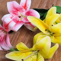 غضن ليليوم اصفر