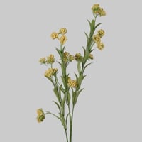 غصن اكسسوار اصفر