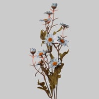 غصن زهور الاقحوان ازرق