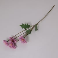 غصن زهر اخضر