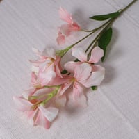 غصن زهور وردي