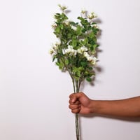 غصن ورد سكري